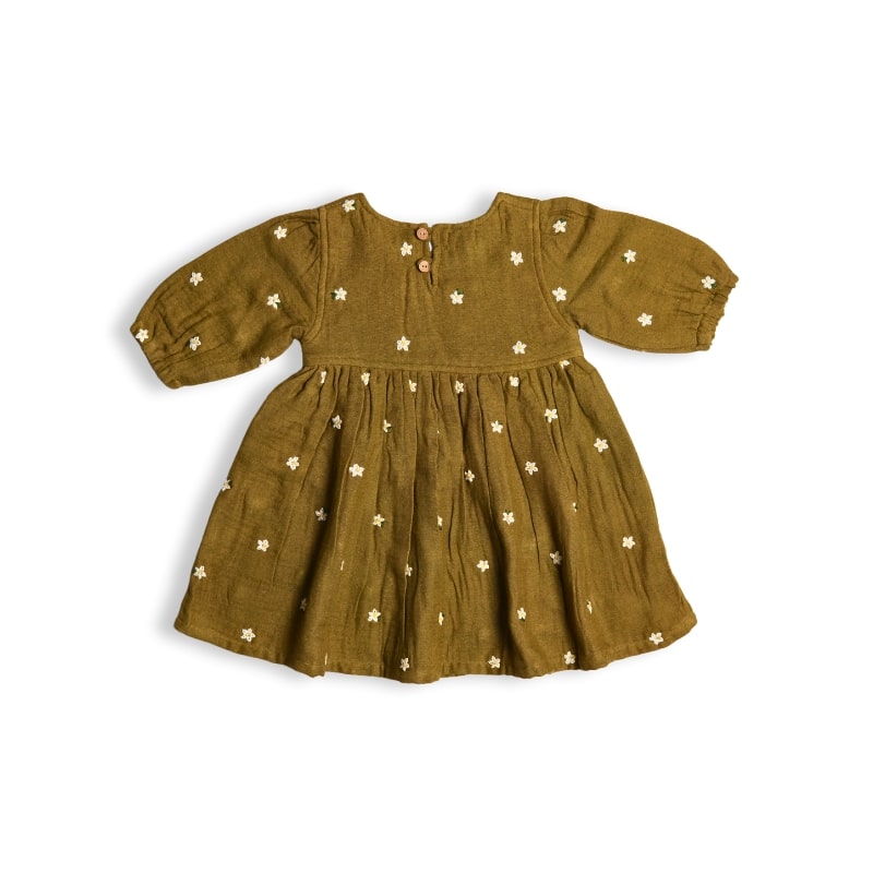 Olive Green Fit and Flare Embroidery Dress