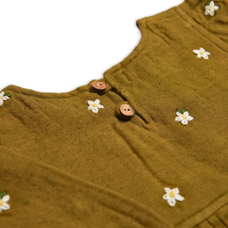 Olive Green Fit and Flare Embroidery Dress