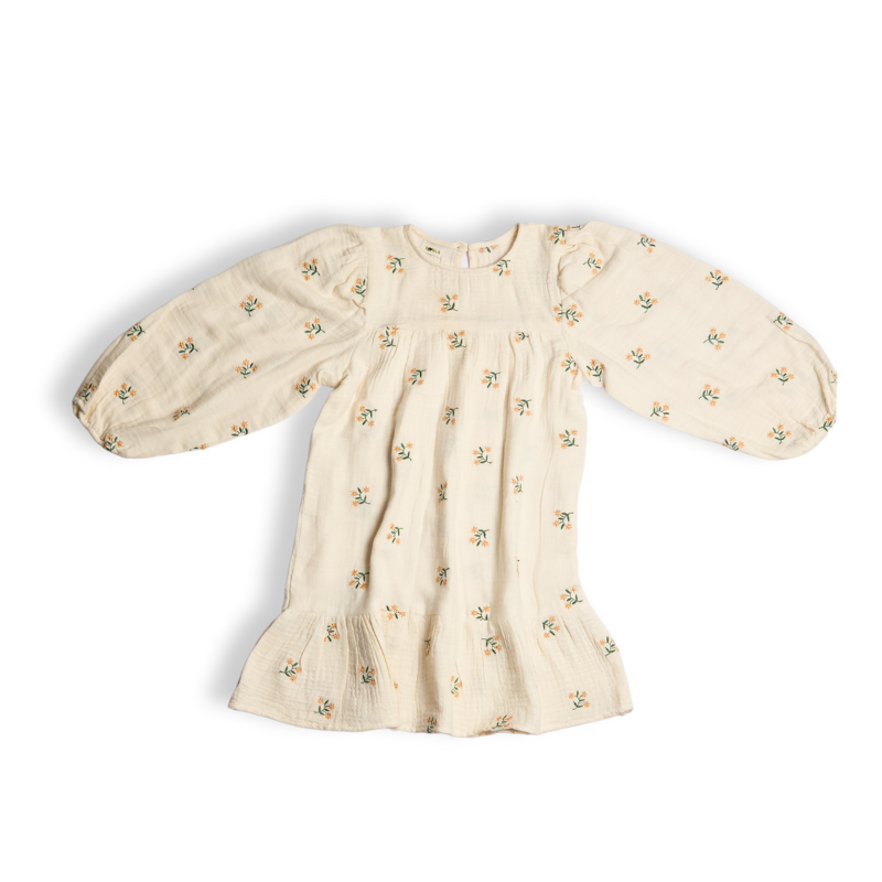 Sunlit Embrodiery Dress