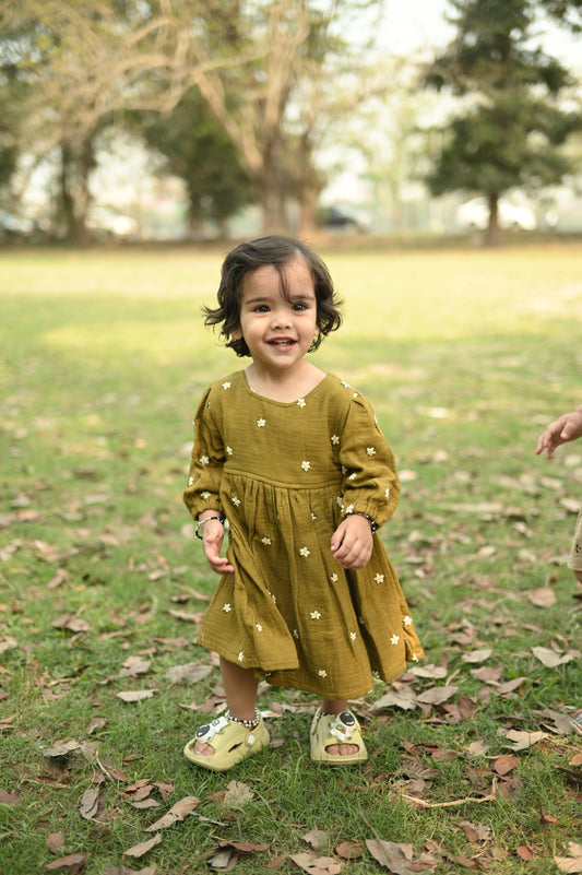 Olive Green Fit and Flare Embroidery Dress