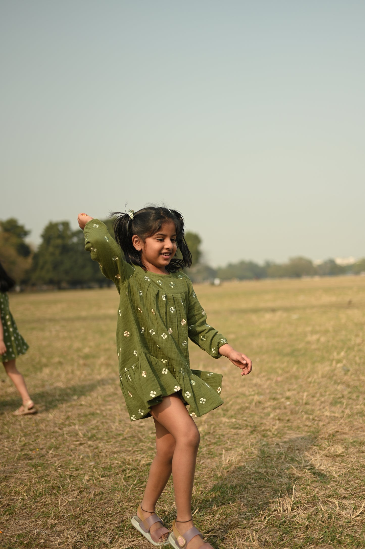 Olive Embrodiery Dress