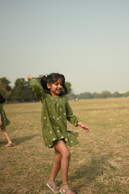 Olive Embrodiery Dress