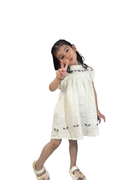 Girls Hand Embroidered A- Line Dress