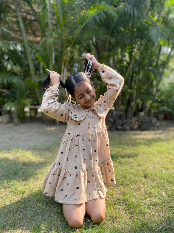 Peter Pan Collar Fit and Flare Mini Dress